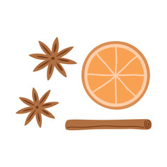 cinnamon and orange christmas spices isolated vector illustration