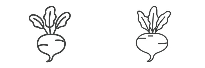 Two isolated vector illustrations of radishes are displayed