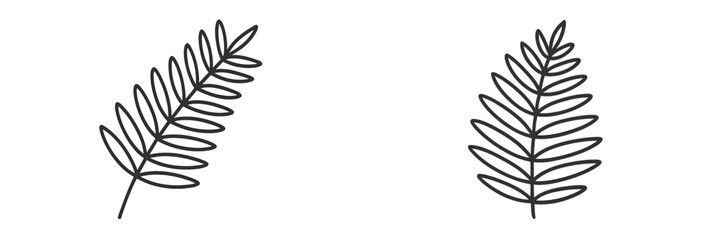 Botanical vector illustration of simple fern leaves in black outline