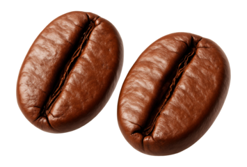Close-up of two roasted coffee beans with rich brown color and visible crevice.