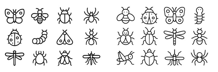Insect vector illustrations for education or nature projects