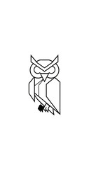 Obraz premium Geometric owl design illustration