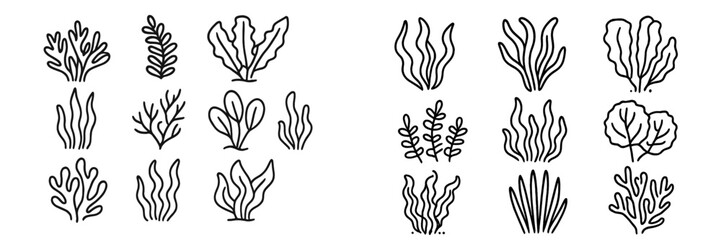 Obraz premium Unique collection of hand-drawn vector aquatic plants for design