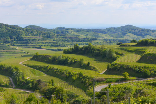 WWeinbau, Kaiserstuhl