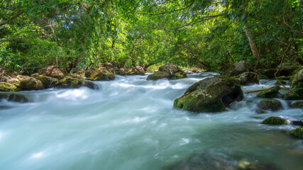 Superb view of summer: The fantastic Moot valley in Phong Nha National Park, Vietnam