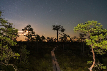 A magical nightscape with a wooden boardwalk trail leading through a serene Estonian bog under a sky full of stars.