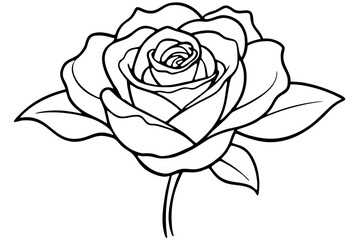 Beautiful Rose Flower Coloring Page