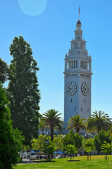 Ferry Building Clock Tower with Palm Trees in San Francisco