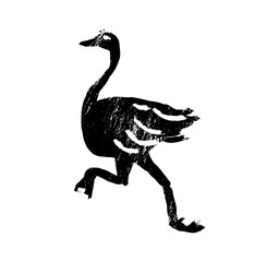 Ostrich Silhouette of Vector illustration African ostrich silhouette illustration vector Minimal ostrich bird vector silhouette Male of African ostrich