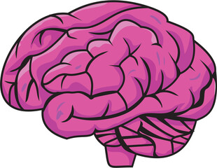 brain illustration vector
