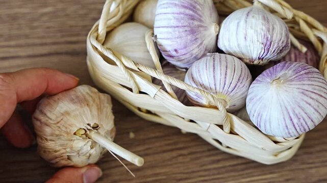 Female hands holding regular multi clove garlic in one hand and Chinese single clove garlic in the other. Concept of ingredient comparison and cooking choice.