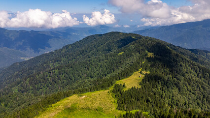 Obraz premium Winding road ascending through lush green forest in Camlihemin, Rize, Turkiye, Black Sea region