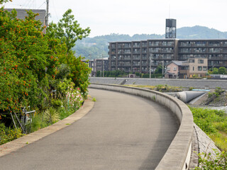 ザクロの花が咲く堤防道路の風景