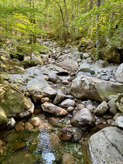 La cascade des anglais dans la for&ecirc;t de Vizzavona