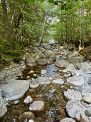 La cascade des anglais dans la for&ecirc;t de Vizzavona