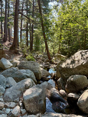 La cascade des anglais dans la for&ecirc;t de Vizzavona