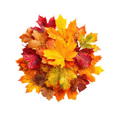 Autumn Leaves Arrangement/Close-up/Studio..Defects No defects found