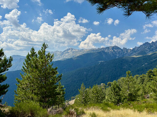 Paysage forestier sur le GR20 en Corse