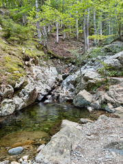 Torrent et rochers sur le GR20 en Corse