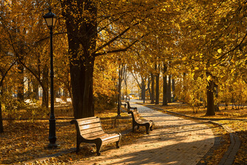 Naklejka premium Golden Sunlight on Park Bench