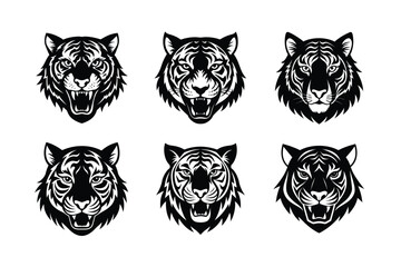 Tiger Head Bundle