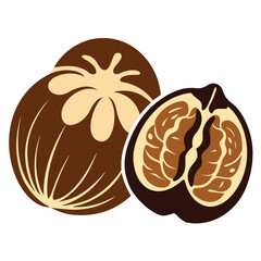 Whole and halved brown nuts with creamy patterns whole nut halved nut