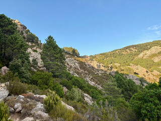 Sentier du GR20 avant l'arriv&eacute;e au col de Bavella