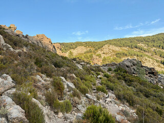Sentier du GR20 avant l'arrivée au col de Bavella
