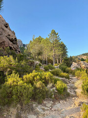Sentier du GR20 avant l'arriv&eacute;e au col de Bavella