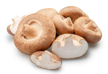 Shiitake - edible asian mushrooms and cuts of shitakes isolated on white background. File contains clipping path.