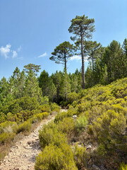Paysage sur la dernière étape du GR20 entre Paliri et Conca