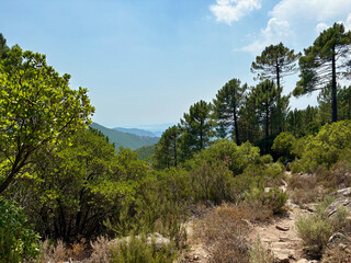 Paysage sur la dernière étape du GR20 entre Paliri et Conca
