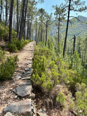 Voie romaine sur le GR20 Sud en Corse