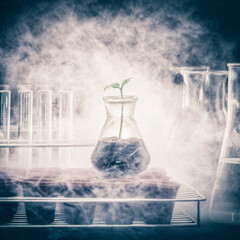 chemical laboratory flask