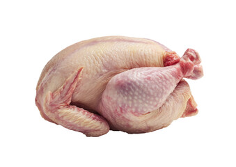 Raw whole chicken, lying on its side