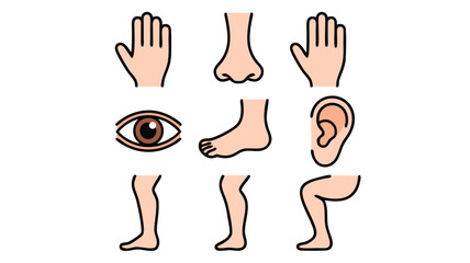 Fototapeta premium Cartoon Depiction of Human Body Parts Featuring Hand, Nose, Eye, Foot, Leg and Ear