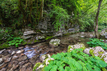 Beautiful landscape at the famous Kozjak waterfall, near Kobarid, Slovenia.
