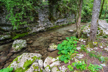Beautiful landscape at the famous Kozjak waterfall, near Kobarid, Slovenia.