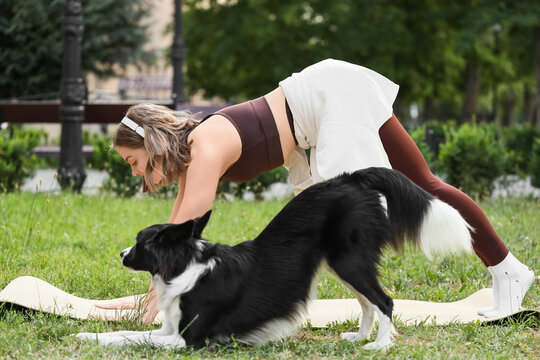 Sporty young woman exercising with cute Border Collie dog on yoga mat in park
