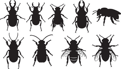 Black insect silhouettes beetle stag beetle, beetle, stag beetle, bee, insect, silhouette, black, white background, entomology, collection, variety, segmented body, antennae, wings, legs, mandibles