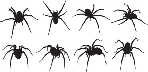 Eight black spider silhouettes on white background, spider, arachnid, silhouette, black, white, creepy, scary, halloween, insect, creature, eight legs, multiple, pattern, graphic, illustration, design