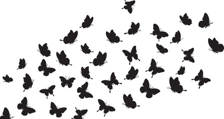 Many black butterflies flying in different directions, black, butterflies, flying, insects, wings, nature, pattern, silhouette, white background, swarm, many, scattered, delicate, graceful, movement, 