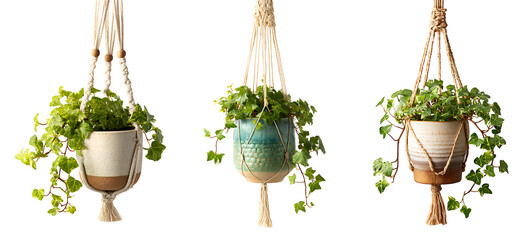 Set of macrame plant hangings in ceramic pots isolated on a white or transparent background