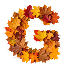 Colorful Autumn Leaves Arranged in Letter C Shape on White Background