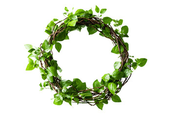 Green ivy wreath isolated on transparent background, a natural and decorative element for spring and summer, perfect for wedding decorations