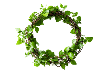 Green ivy wreath isolated on transparent background, a natural and decorative element for spring and summer, perfect for wedding decorations