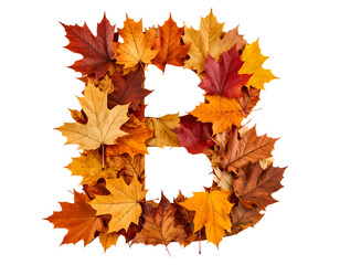 Colorful Autumn Leaves Arranged into the Letter B on White Background
