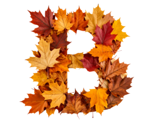 Colorful Autumn Leaves Arranged into the Letter B on White Background