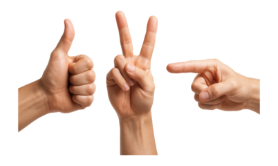 Collection of 3D hand sign poses.