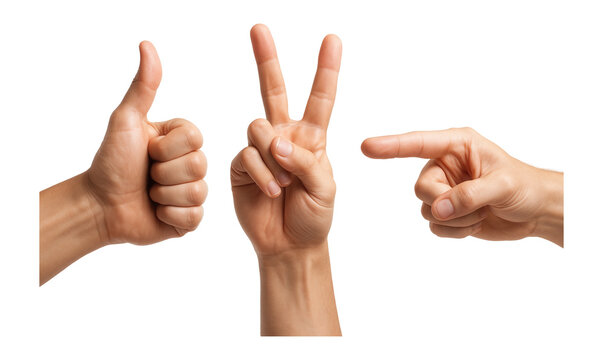 Collection of 3D hand sign poses.